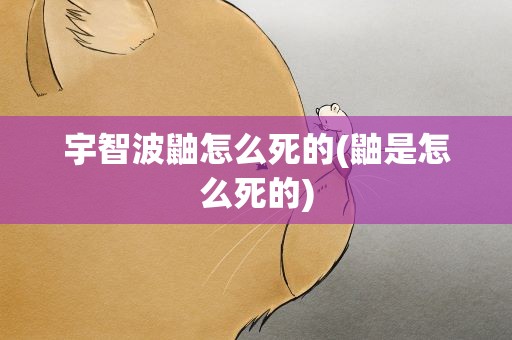 宇智波鼬怎么死的(鼬是怎么死的)