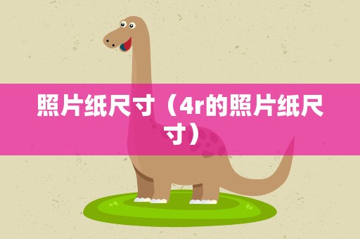 照片纸尺寸（4r的照片纸尺寸）