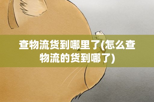 查物流货到哪里了(怎么查物流的货到哪了)