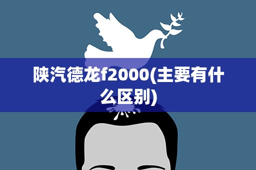 陕汽德龙f2000(主要有什么区别)