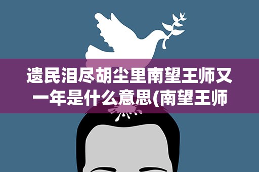 遗民泪尽胡尘里南望王师又一年是什么意思(南望王师又一年。诗句意思是)