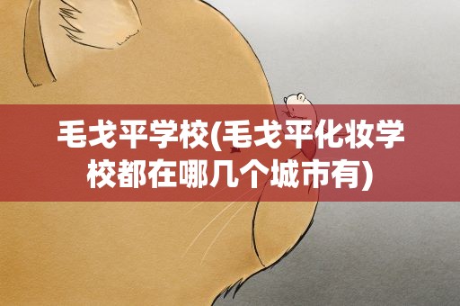 毛戈平学校(毛戈平化妆学校都在哪几个城市有)