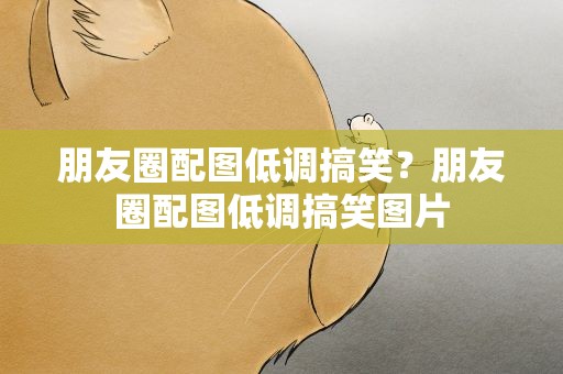 朋友圈配图低调搞笑？朋友圈配图低调搞笑图片