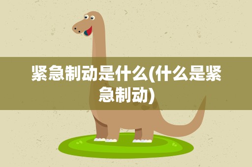 紧急制动是什么(什么是紧急制动)
