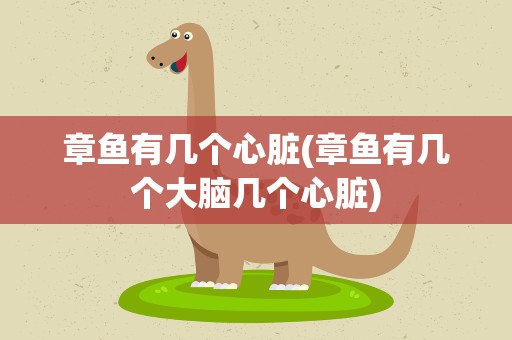 章鱼有几个心脏(章鱼有几个大脑几个心脏)
