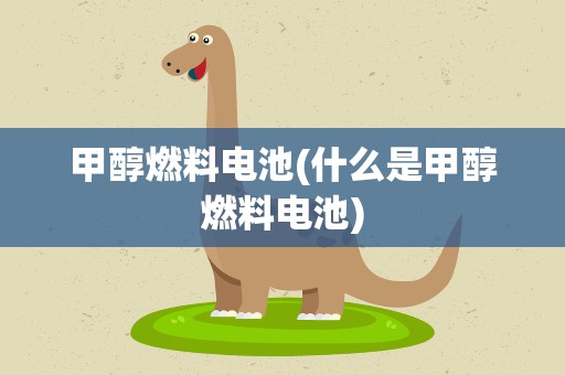 甲醇燃料电池(什么是甲醇燃料电池)