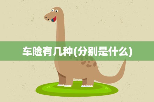 车险有几种(分别是什么)