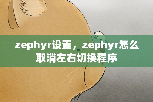 zephyr设置，zephyr怎么取消左右切换程序