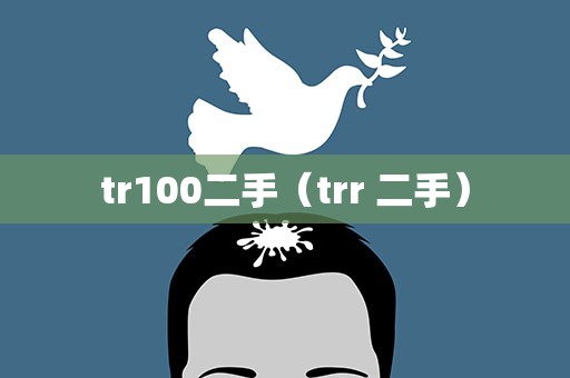 tr100二手（trr 二手）