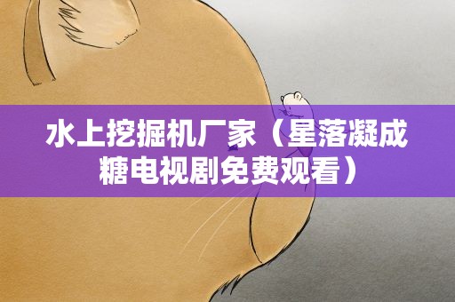 水上挖掘机厂家（星落凝成糖电视剧免费观看）