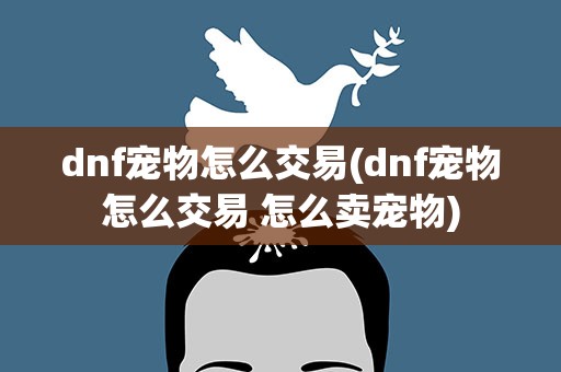 dnf宠物怎么交易(dnf宠物怎么交易 怎么卖宠物)