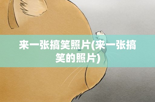 来一张搞笑照片(来一张搞笑的照片)