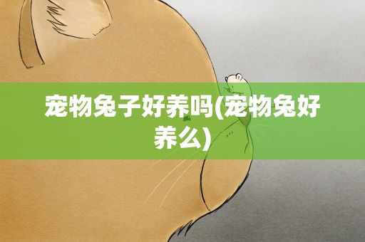 宠物兔子好养吗(宠物兔好养么)