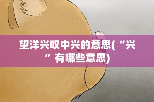 望洋兴叹中兴的意思(“兴”有哪些意思)