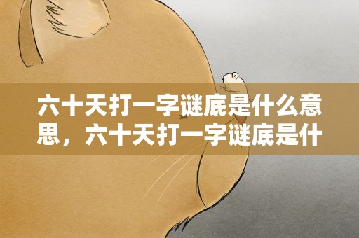 六十天打一字谜底是什么意思，六十天打一字谜底是什么字