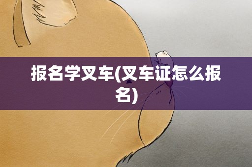 报名学叉车(叉车证怎么报名)