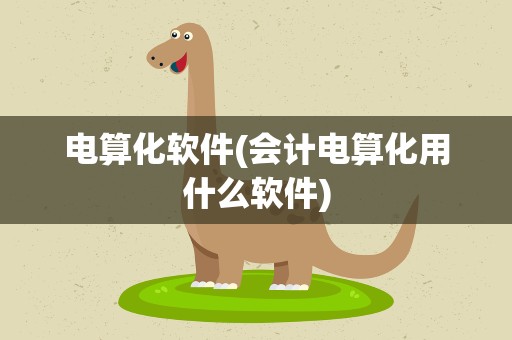 电算化软件(会计电算化用什么软件)