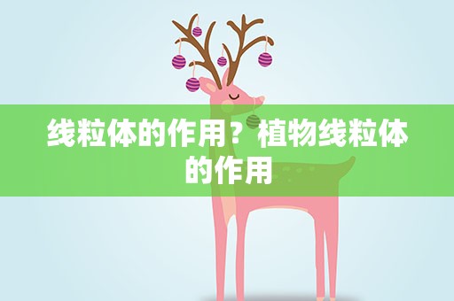 线粒体的作用？植物线粒体的作用