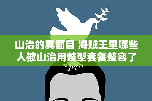 山治的真面目 海贼王里哪些人被山治用整型套餐整容了