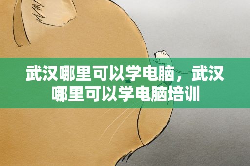 武汉哪里可以学电脑，武汉哪里可以学电脑培训