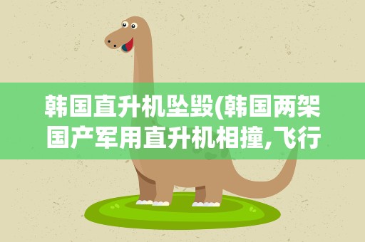 韩国直升机坠毁(韩国两架国产军用直升机相撞,飞行员失职还是另有原因)