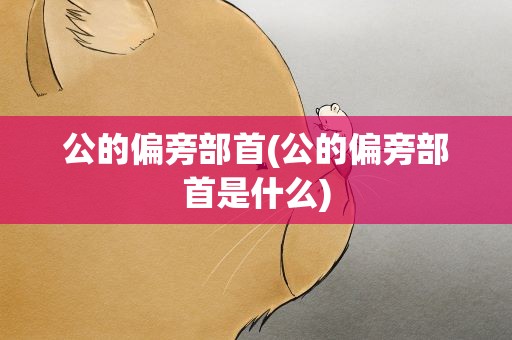 公的偏旁部首(公的偏旁部首是什么)