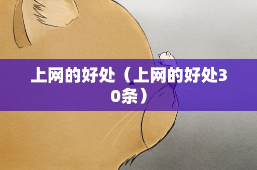上网的好处（上网的好处30条）