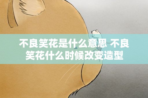 不良笑花是什么意思 不良笑花什么时候改变造型