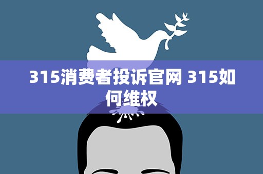 315消费者投诉官网 315如何维权