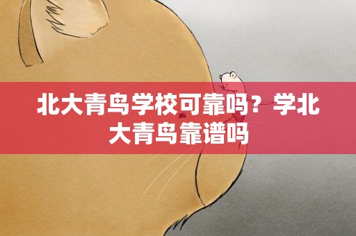 北大青鸟学校可靠吗？学北大青鸟靠谱吗