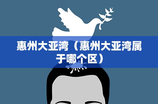 惠州大亚湾（惠州大亚湾属于哪个区）