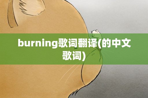 burning歌词翻译(的中文歌词)