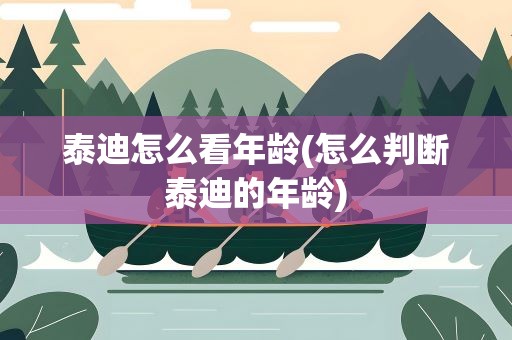 泰迪怎么看年龄(怎么判断泰迪的年龄)