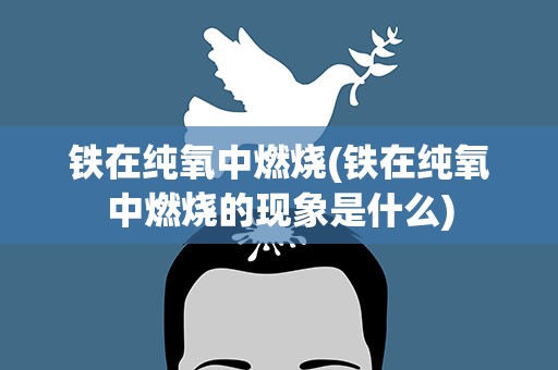 铁在纯氧中燃烧(铁在纯氧中燃烧的现象是什么)