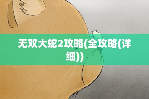 无双大蛇2攻略(全攻略(详细))