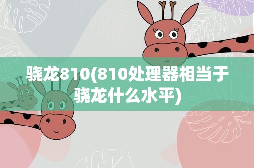 骁龙810(810处理器相当于骁龙什么水平)