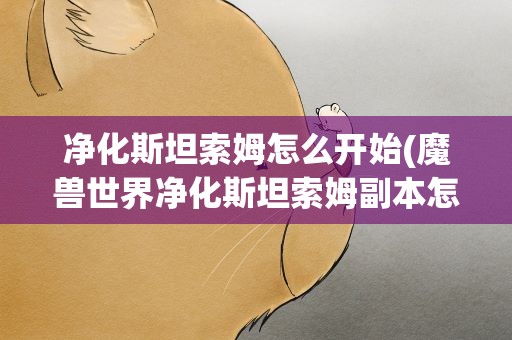 净化斯坦索姆怎么开始(魔兽世界净化斯坦索姆副本怎么去 求正确的路线)
