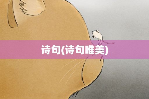 诗句(诗句唯美)