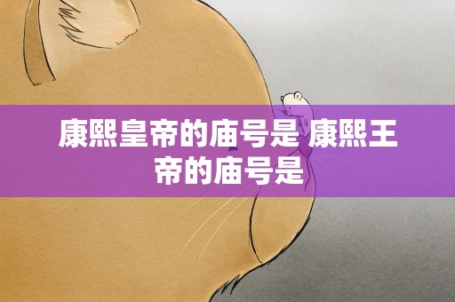 康熙皇帝的庙号是 康熙王帝的庙号是