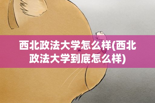 西北政法大学怎么样(西北政法大学到底怎么样)