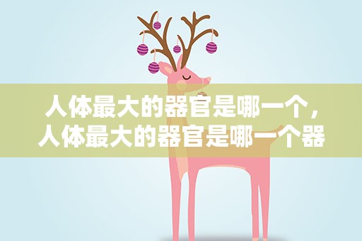 人体最大的器官是哪一个，人体最大的器官是哪一个器官