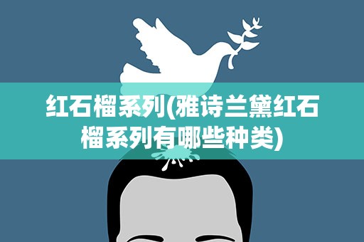 红石榴系列(雅诗兰黛红石榴系列有哪些种类)