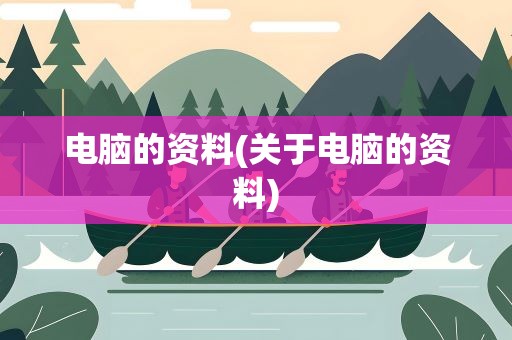 电脑的资料(关于电脑的资料)