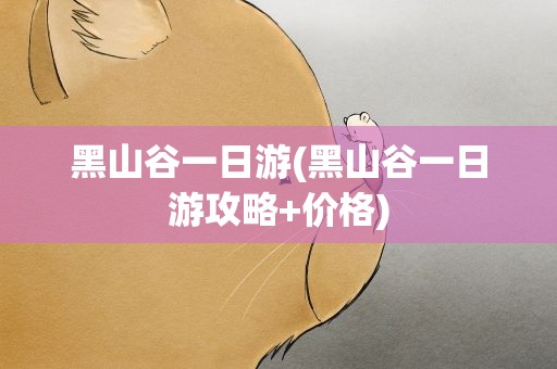 黑山谷一日游(黑山谷一日游攻略+价格)