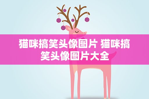 猫咪搞笑头像图片 猫咪搞笑头像图片大全