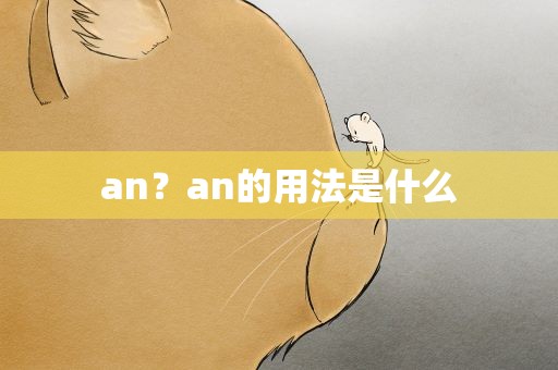 an？an的用法是什么