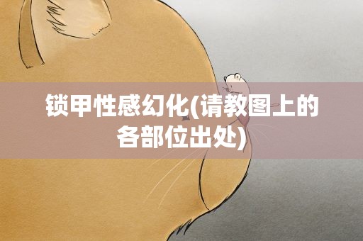 锁甲性感幻化(请教图上的各部位出处)