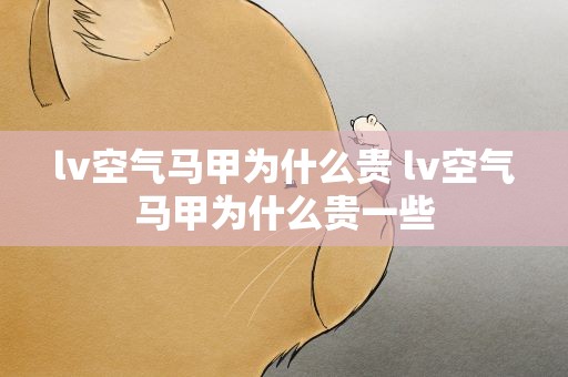 lv空气马甲为什么贵 lv空气马甲为什么贵一些