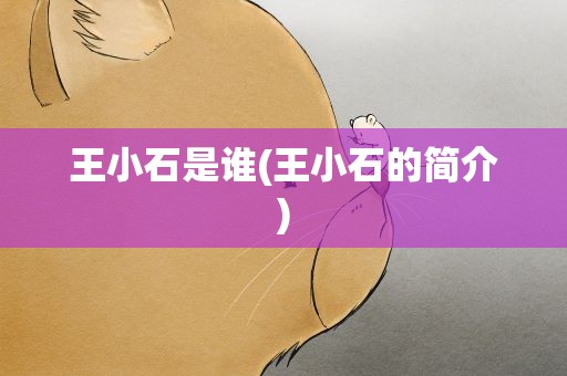 王小石是谁(王小石的简介)