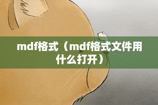 mdf格式（mdf格式文件用什么打开）